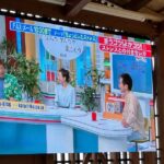 【熊本・植木町】道の駅 すいかの里うえき様 LEDビジョンを製作させて頂きました。